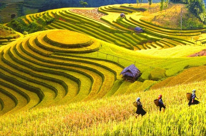 Sapa Trekking Tours - 2 Days 1 Night Stay At Homestay - Who should book this Sapa experience?