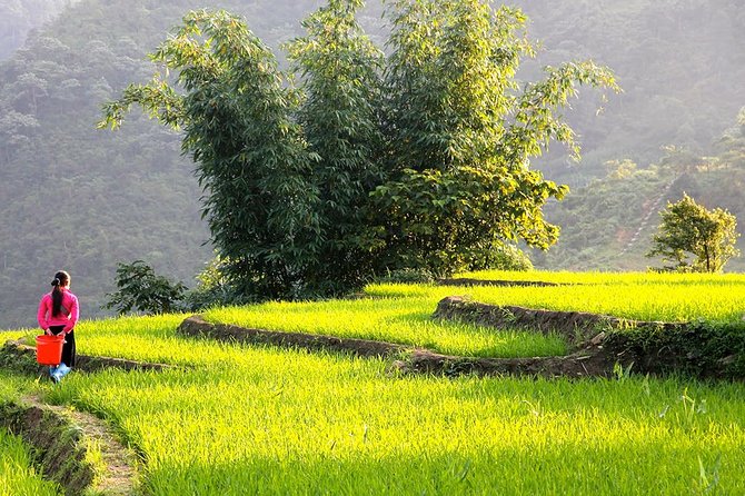 Sapa Valley Trek and Homestay - 3D2N - Why three days works better than a quick Sapa walk