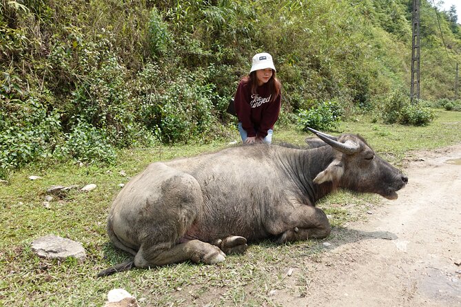 Sapa Valley Trek and Homestay - 3D2N - Who should book this Sapa trek?