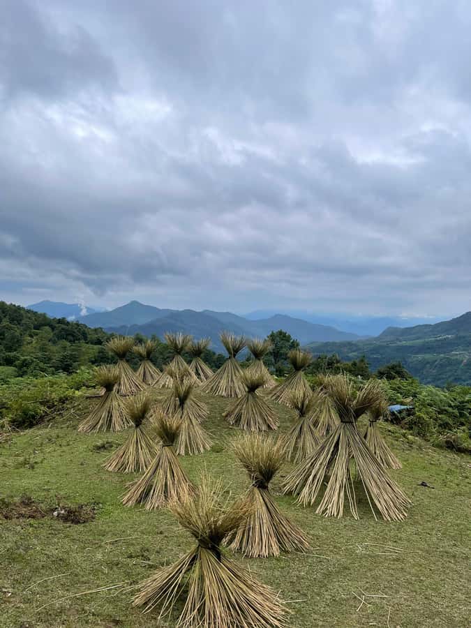 Sapa: Y Linh Ho - Lao Chai, and Ta Van Trekking Day Tour - Y Linh Ho and the first rice terrace views