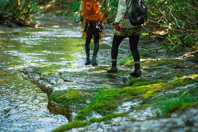 Sawanobori River Trekking Tour - Timing, weather, and what to pack