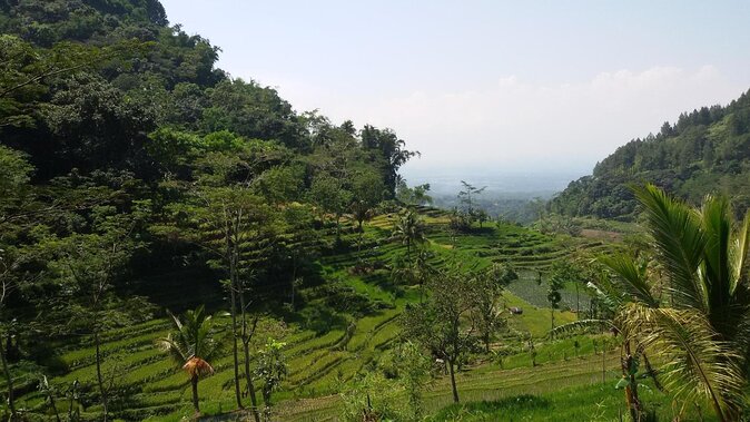 Selogriyo Temple and Trekking Java Rice Terraces, hidden waterfall -Nature Java - Key points before you book