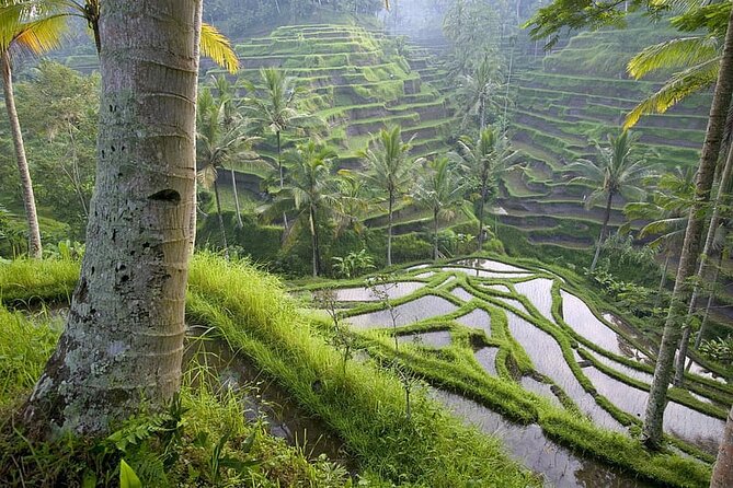 Selogriyo Temple and Trekking Java Rice Terraces, hidden waterfall -Nature Java - Kedung Kayang Waterfall below Mt. Merapi