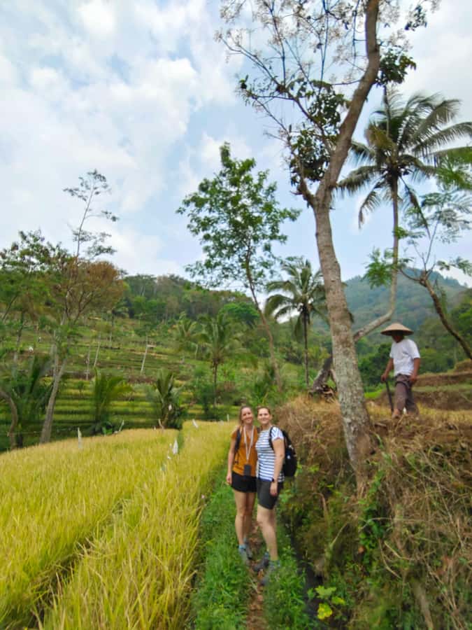 Selogriyo Temple, treking Java Rice Terrace & waterfall - Key points to know before booking