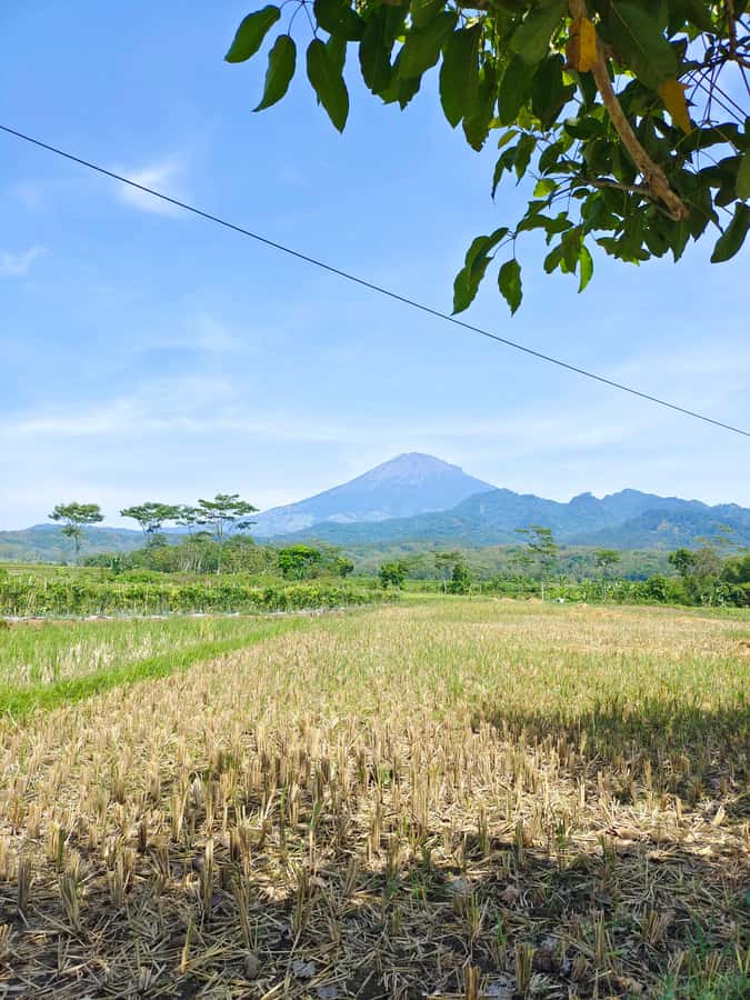 Selogriyo Temple, treking Java Rice Terrace & waterfall - Visiting Selogriyo Temple