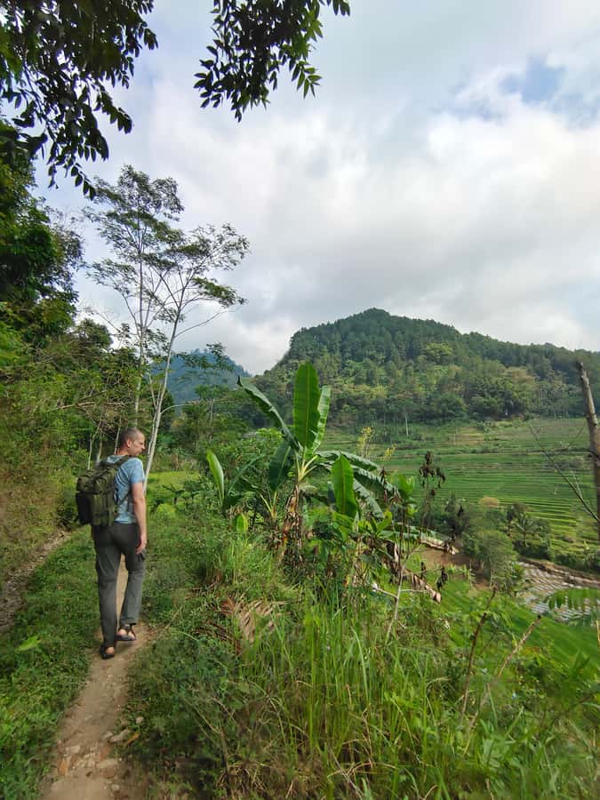 Selogriyo Temple, treking Java Rice Terrace & waterfall - What the $28 price really covers