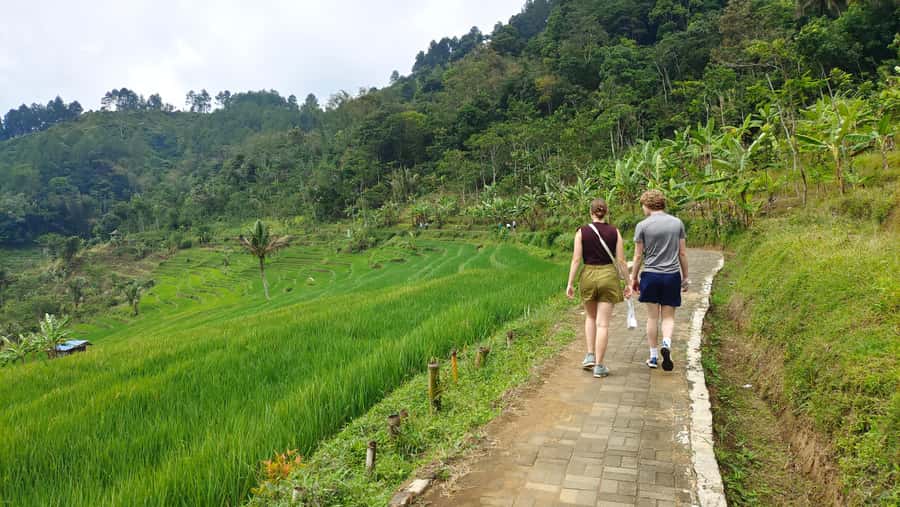 Selogriyo Temple, treking Java Rice Terrace & waterfall - Who will enjoy this experience most