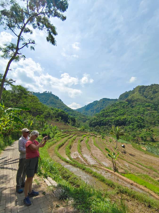 Selogriyo Temple, treking Java Rice Terrace & waterfall - Walking through Selogriyo’s working rice fields