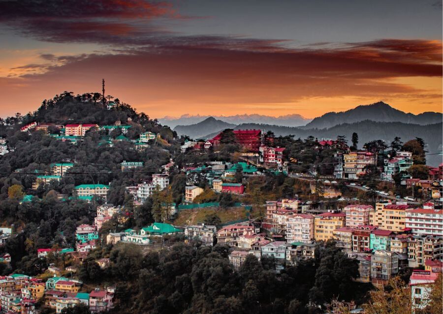 Shimla Nature Walk (3 Hours Guided Trekking Experience) - Six things to know before you book