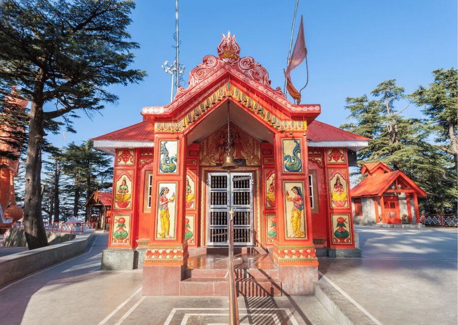 Shimla Nature Walk (3 Hours Guided Trekking Experience) - Practical tips for a smoother three hours