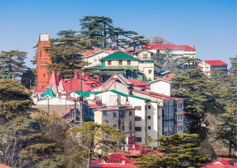 Shimla Nature Walk (3 Hours Guided Trekking Experience) - Forest Hill Road and Shimla’s British-era buildings