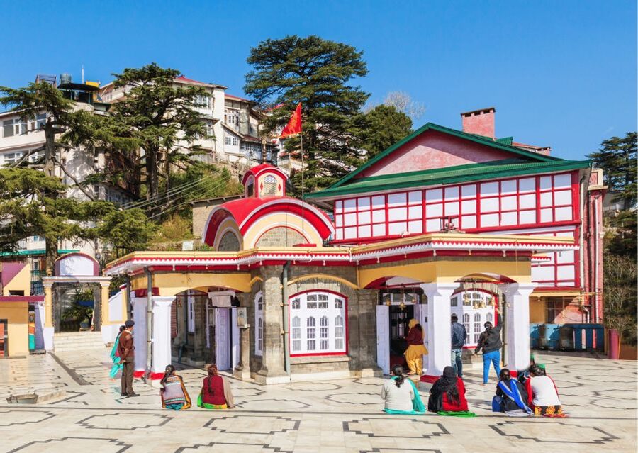 Shimla Nature Walk (3 Hours Guided Trekking Experience) - What $27 buys you