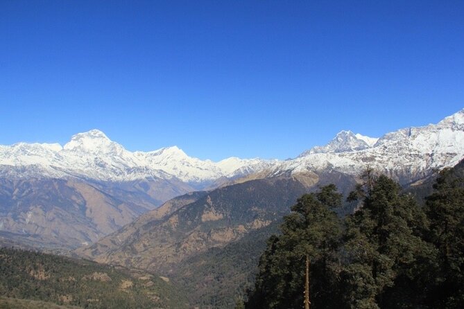 Short Annapurna Base Camp Trek - 7 Days - Himalayan Hotel brings the big mountain views