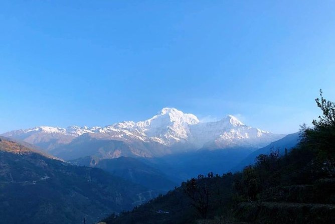 Short Annapurna Base Camp Trek -8 Days - Day 3: Chhomrong to Himalaya through forest