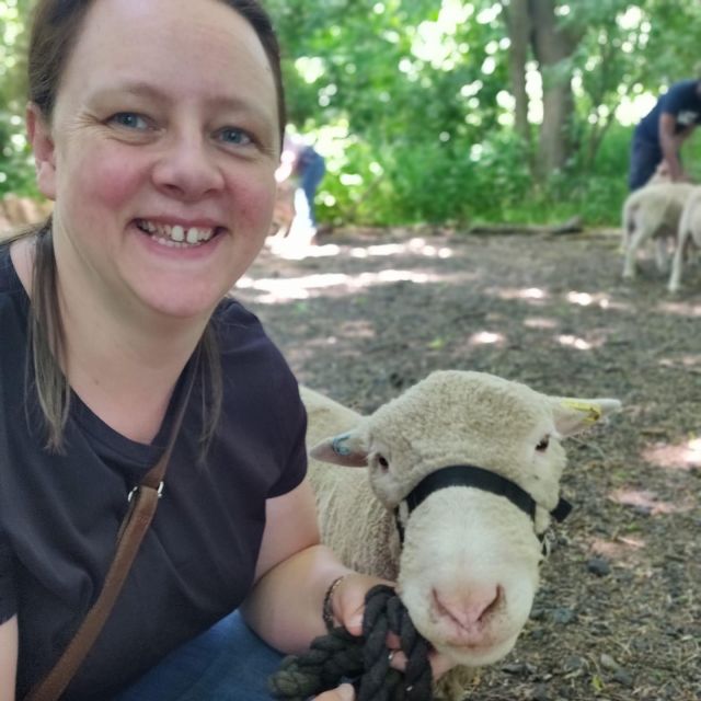 Shropshire: Sheep Trek with the Smallest Sheep in the World - Why this tiny-sheep walk is worth your time