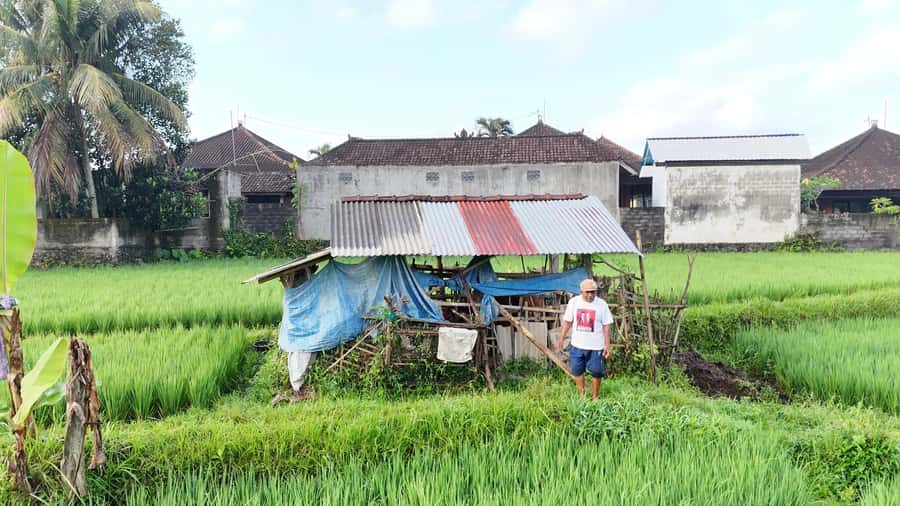 Sidemen rice terraces trek and local village walk - Why Sidemen is a better fit than a quick rice terrace stop