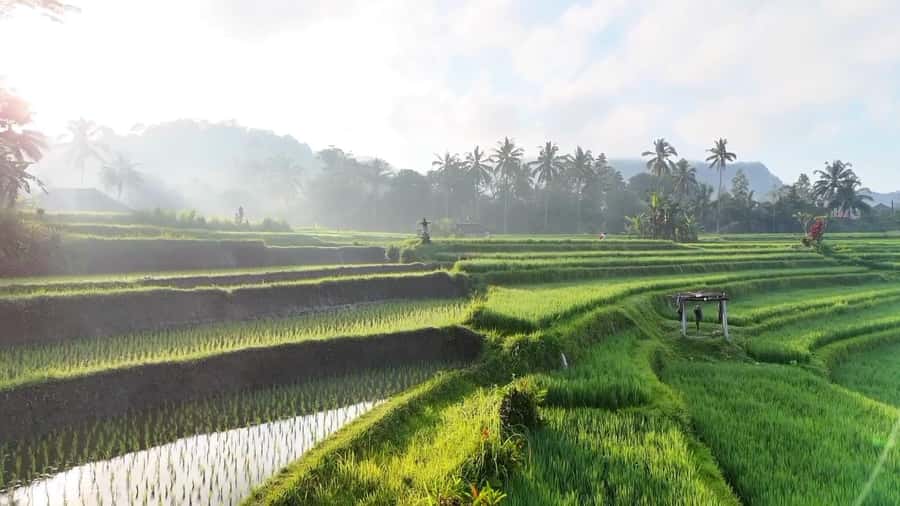 Sidemen rice terraces trek and local village walk - The opening walk through Sidemen village