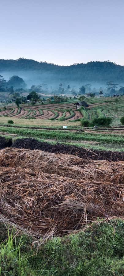 Sidemen rice terraces trek and local village walk - Walking the rice paddies and irrigation channels