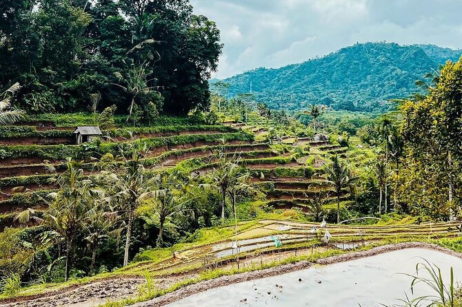 Sidemen Trekking: A Walk from a Different Perspective - Why this Sidemen walk feels different from a standard Bali outing