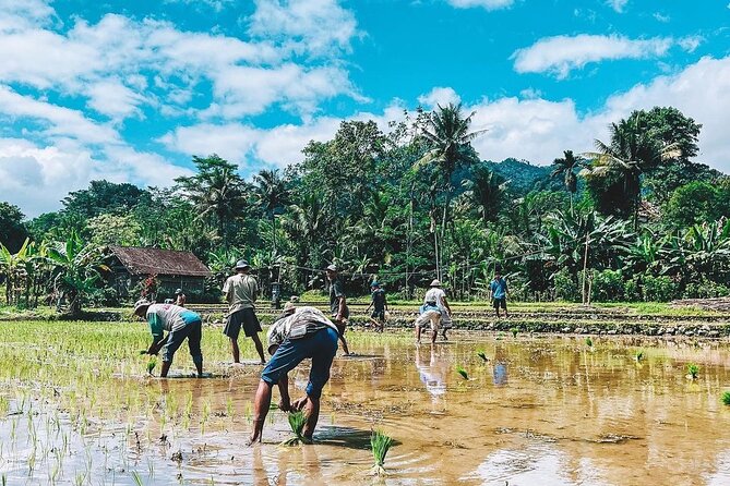 Sidemen Trekking: A Walk from a Different Perspective - Temples, offerings, and the meaning behind the scenery