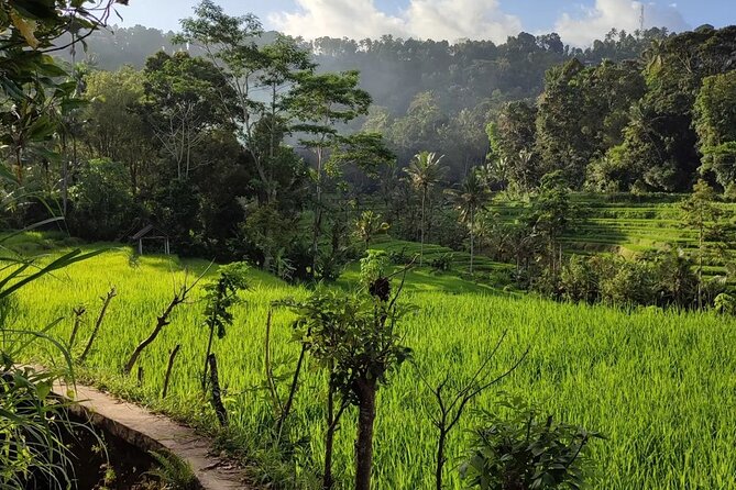 Sidemen Trekking: A Walk from a Different Perspective - Finishing at Warung Ume Anyar in Ogang Village