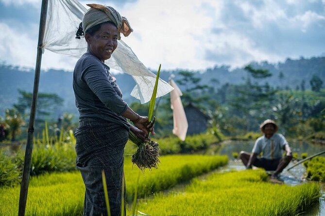 Sidemen Trekking: A Walk from a Different Perspective - Starting at Pasar Sidemen and Upa Boga