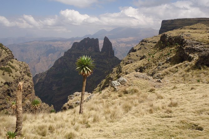 Simien Mountains National Park – 7 Day Trek - Day 6: Rivers, Vervet Monkeys, and the Climb to Mulit