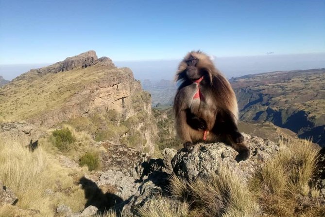 Simien Mountains Trekking Adventure - Key points at a glance