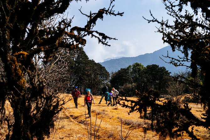 Singalila Ridge Trek from Darjeeling - 6 Days - Day 5: Gorkhey, Samandin, Ramam, and Timburey