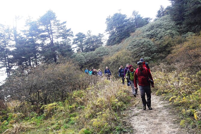 Singalila Ridge Trek from Darjeeling - 6 Days - Day 6: A gentle return through Srikhola to Rimbeek