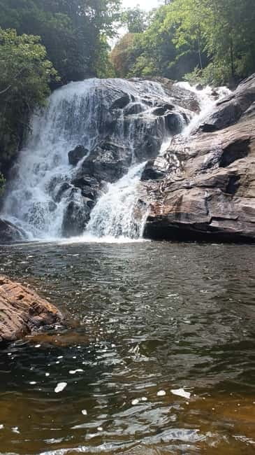 Sinharaja Rainforest: Tour with 5 Waterfalls Trek - Key points to know before booking