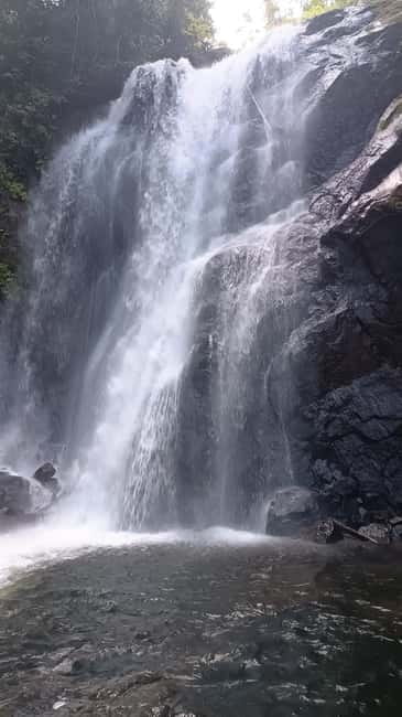 Sinharaja Rainforest: Tour with 5 Waterfalls Trek - Why this Sinharaja day is worth your time