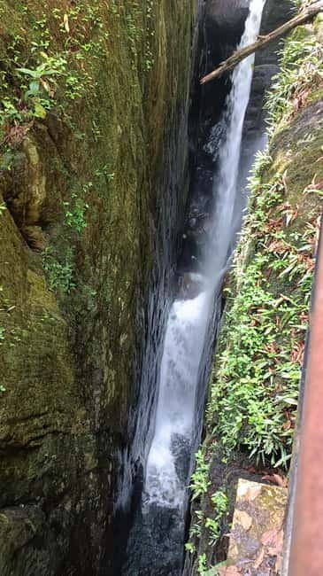 Sinharaja Rainforest: Tour with 5 Waterfalls Trek - Entering Sinharaja with a forest tracker