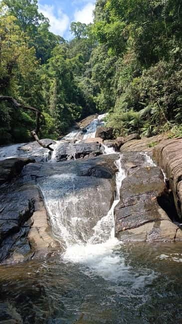 Sinharaja Rainforest: Tour with 5 Waterfalls Trek - Five waterfalls and time for a swim