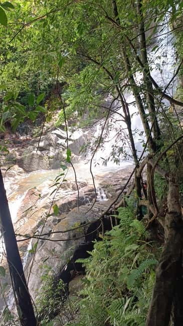 Sinharaja Rainforest: Tour with 5 Waterfalls Trek - Who should book this waterfall trek