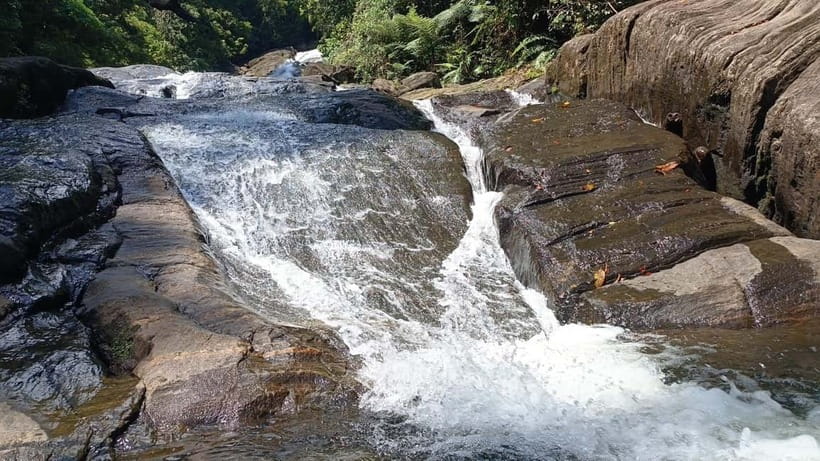 Sinharaja Rainforest: Tour with 5 Waterfalls Trek - Practical packing advice