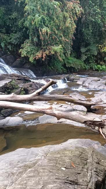 Sinharaja Rainforest: Tour with 5 Waterfalls Trek - The two-hour ride from the coast
