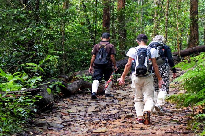 Sinharaja Rainforest Trekking Private Day Trip with Local Lunch - The private drive from Bentota
