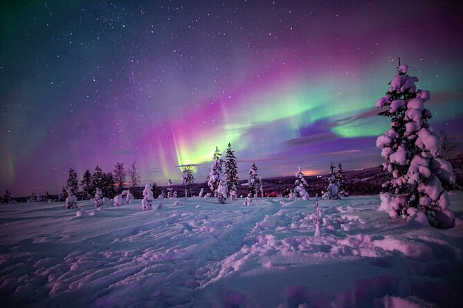 Ski Trekking under the Northern Lights - Key things to know before you go