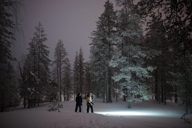 Ski Trekking under the Northern Lights - Is $140 a fair price?