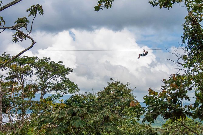Sky Tram, Sky Trek and Sky Walk From Arenal - Sky Walk: a closer look at the rainforest