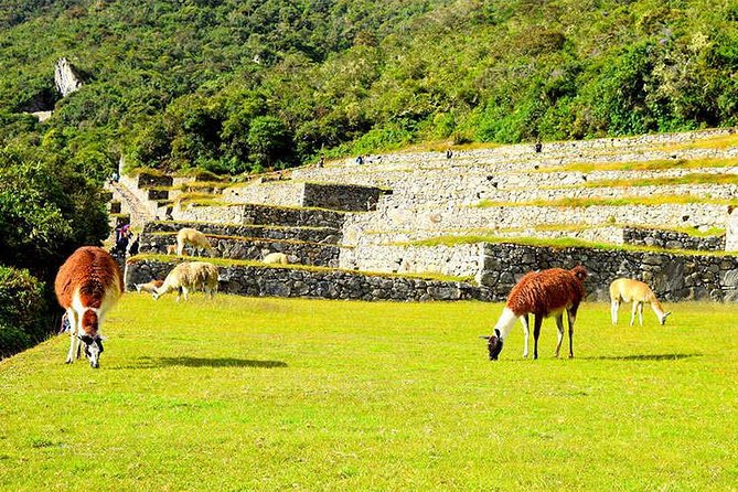 Small Group: 4-Day Inca Trail Trek to Machu Picchu - Day Four: Entering Machu Picchu Through the Sun Gate