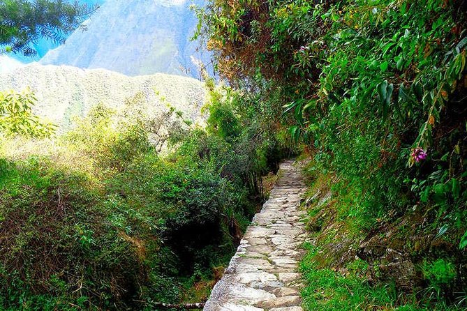 Small Group: 4-Day Inca Trail Trek to Machu Picchu - How Good Is the $850 Value?
