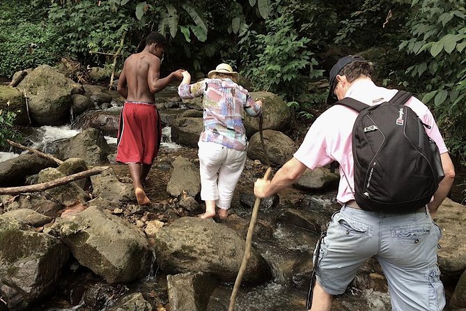 Small-Group Adventure Trek in Grand Etang National Park - Why Grand Etang makes a good half-day outing