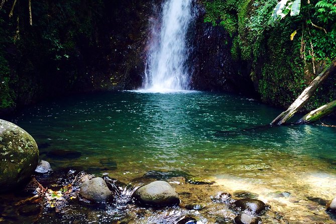 Small-Group Adventure Trek in Grand Etang National Park - The uphill walk and the two waterfalls