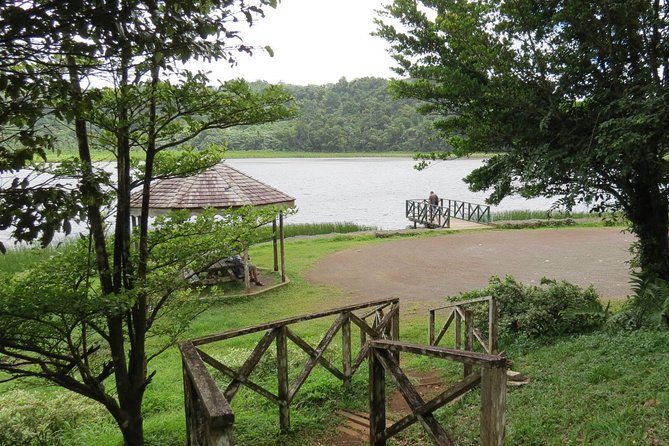 Small-Group Adventure Trek in Grand Etang National Park - Returning to the Grand Etang Nature Center