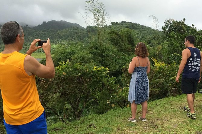 Small-Group Adventure Trek in Grand Etang National Park - The role of the guide