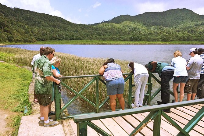 Small-Group Adventure Trek in Grand Etang National Park - Watching for monkeys, birds, frogs, and boas