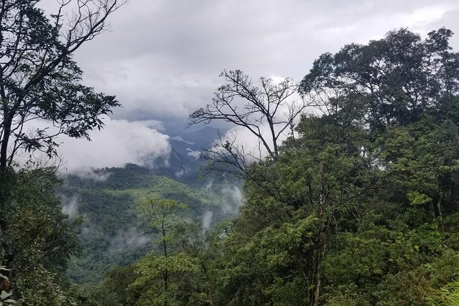 Small Group - Bach Ma National Park Trekking Tour From Hue - Is $41.50 good value?