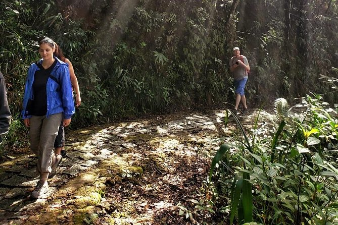 Small Group - Bach Ma National Park Trekking Tour From Hue - What to bring for a safer day